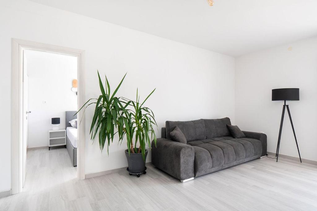 Apartments Grubisic - Sibenik - Parking Included المظهر الخارجي الصورة